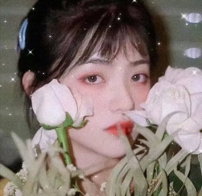 姐妹姐妹